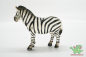 Preview: Schleich Zebra 14148